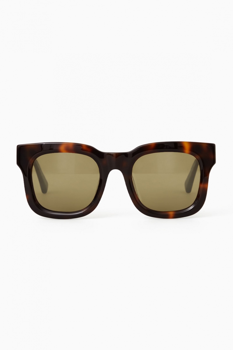 Dámské Sluneční Brýle COS The Square Acetate Hnědé | COS Eshop CZ-48267TDUF